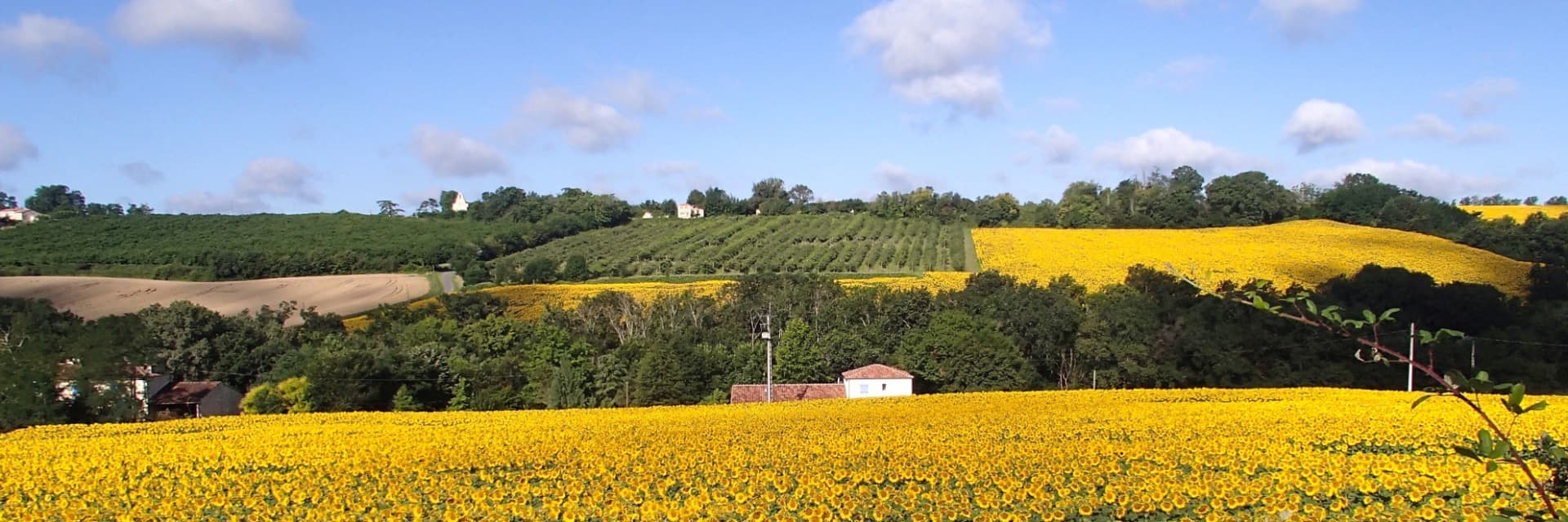 Gîtes en chambre d'hôtes Lencouet, Zuidwest Frankr